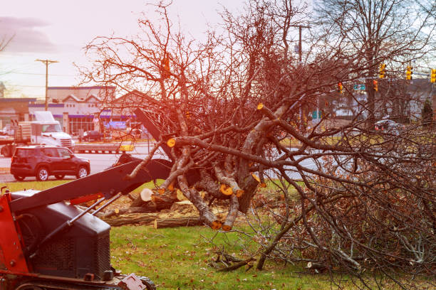 Mulching Services in Glasgow, DE